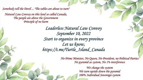 Leaderless Natural Law Convoy