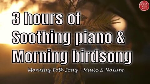 Soothing music with piano and bird singing for 3 hours, music to relief stress & tinnitus