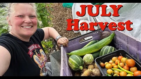 JULY Allotment Garden HARVEST