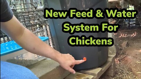 New Feed And Water System For Chickens