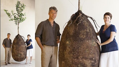 Forget Coffins – Organic Burial Pods Will Turn Your Loved Ones Into Trees
