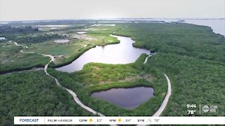 Walking Club: Exploring Robinson Preserve