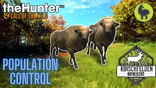 The Hunter: Call of the Wild, Bhandari- Population Control, Hirschfelden (PS5 4K)