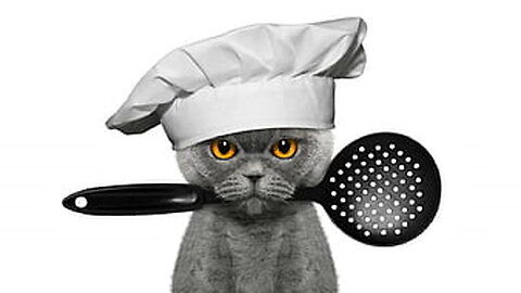 Chef Cat