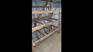 Quail cage racks built