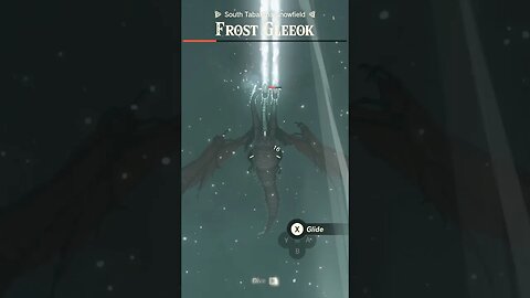 First Frost Gleeok - Zelda Tears of the Kingdom Short