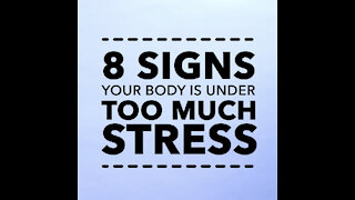 Sings Your Body is Under Too Much Stress [GMG Originals]