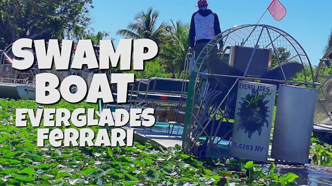 COOL AIRBOAT EVERGLADES TOUR