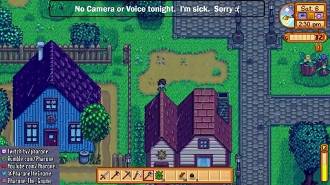 Stardew Valley - Year 1 - Part 1