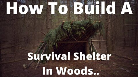 How to build a Survival Shelter in the Woods