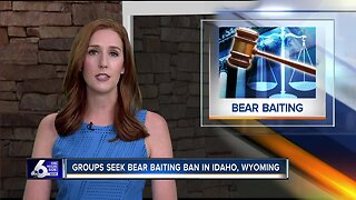 Bear Baiting Ban Lawsuit