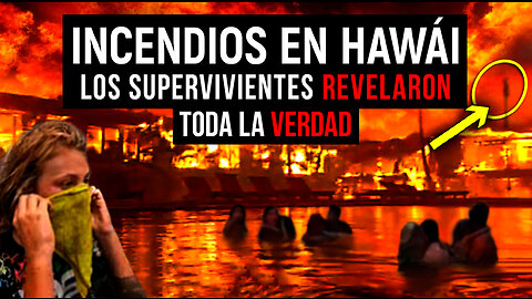 Horripilante VERDAD tras los incendios forestales de Hawái. Impactante documental