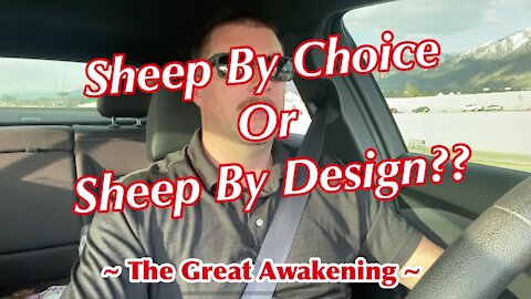 Sheep By Choice OR Sheep By Design?? ~ The Great Awakening ~