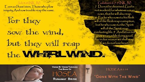 Hosea 8:1-14 "Gone With The Wind"