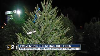 Christmas trees are festive but can be fire hazards