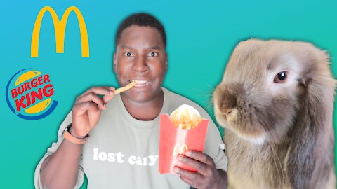 Kids Videos: The Fry Guys Try McDonald's & Burger King