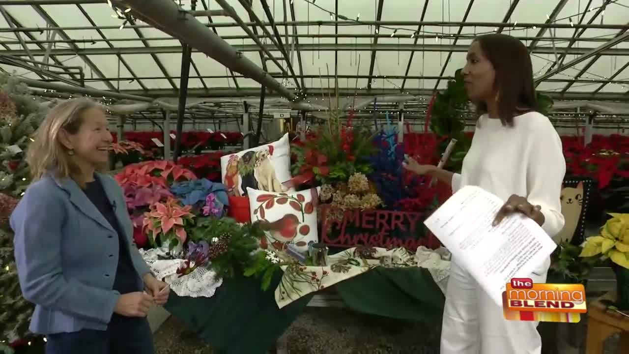 Get in the Christmas Spirit at Shady Lane Greenhouse!