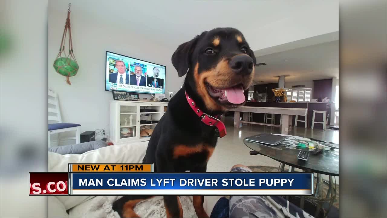 St. Pete man searching for dog after video shows Lyft driver pick it up