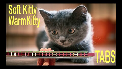 Harmonica TABS for Soft Kitty Warm Kitty on a Tremolo Harmonica with 24 Holes