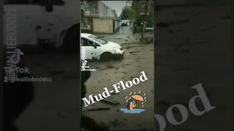 mudflooded