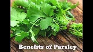 Part 96 Health Benefits of Parsley.mp4