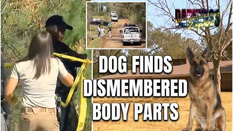 Dog Finds Dismembered Body Parts near Abandoned House in Jackson MS | CRIME NEWS THAT MATTERS