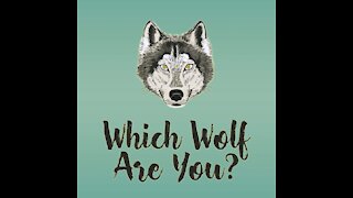Which Wolf Are You? [GMG Originals]