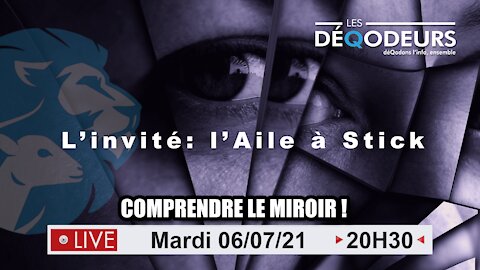 L'invité : L'aile à Stick (live du 6 juillet 2021)