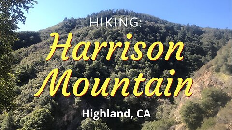 #15 Hiking Harrison Mountain, San Bernardino Mountains (San Bernardino NF), CA