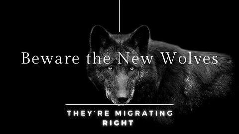 Beware the New Wolves