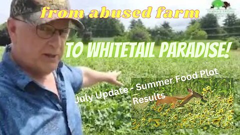Converting Property from Farm to a Whitetail Paradise - Summer Food Plot Tour