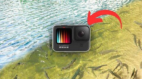 Polarized GoPro Lens.. worth the $ for fishing? catch and cook