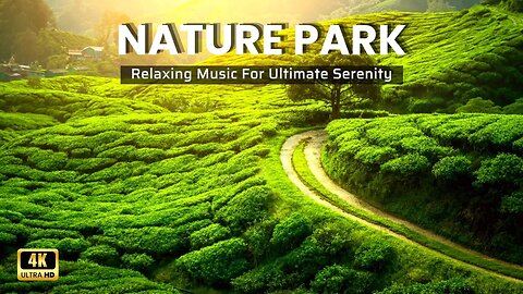 4K Nature Park Escapade: A Serene Melodic Journey #naturebeauty
