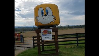 Sonic at Wayside Farm Fun 2021 (part 3)