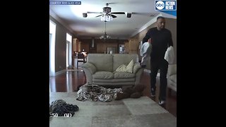 Tampa Theft