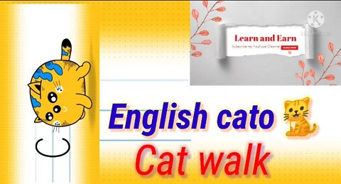 Cat walk | English cato | Beautiful cat walk