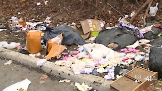‘Not our trash’: Neighbors frustrated by trash piles linked to KCMO pet store