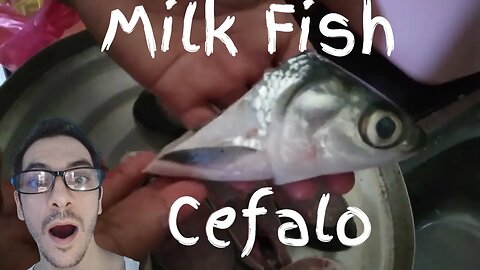 Dimple prepare Milk Fish Recipe Chanos Chanos Bangus - Cefalo o Branzino in Filippine