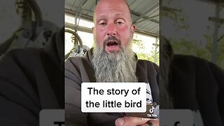 The story of the little bird