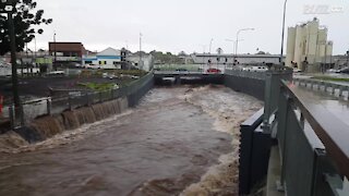 Forti piogge causano pericolose inondazioni in Australia