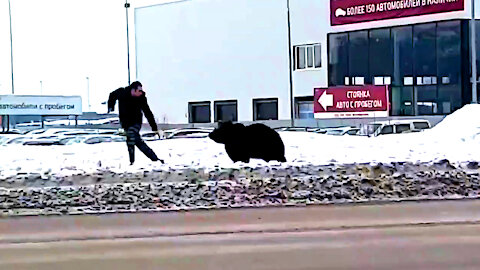 RUSIA: OSO CORRE POR LA CALLE Y PERSIGUE GENTE