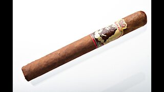 La Aurora 1495 Series Corona Cigar Review