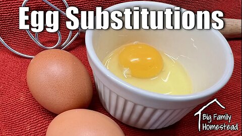 Egg Substitutes | Big Family Homestead | 02/22