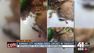 Kansas City woman finds bug in Chinese takeout order