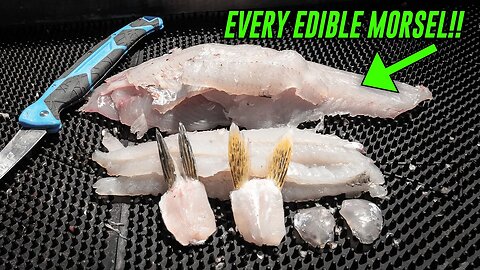 How To Fillet ALL The Meat From WALLEYE. (CHEEKS & WINGS?!)