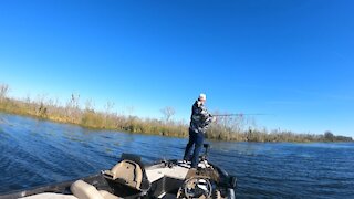 Prefishin Harris Chain 1/28/2021