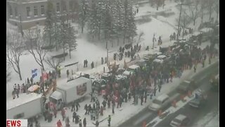 Canadian Convoy Protesters Invade MSNBC Live Report Yelling ‘Freedom’ at Top of Lungs