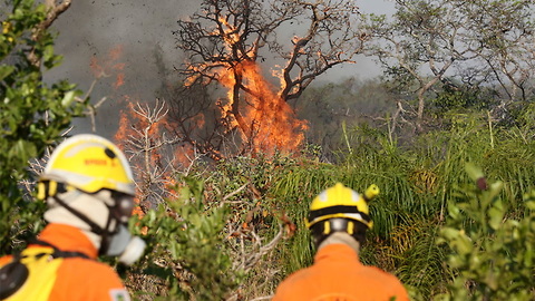 Incêndio criminoso está destruindo chapada dos Veadeiros