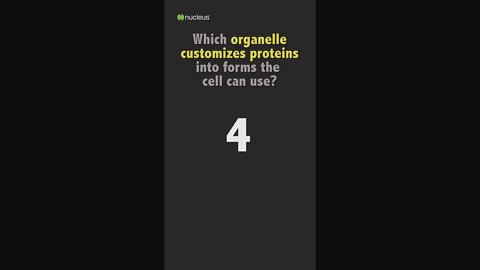 Biology Quiz: Which organelle customizes proteins into forms the cell can use?