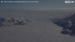 Mergulhadora nada debaixo de glaciares na Gronelândia